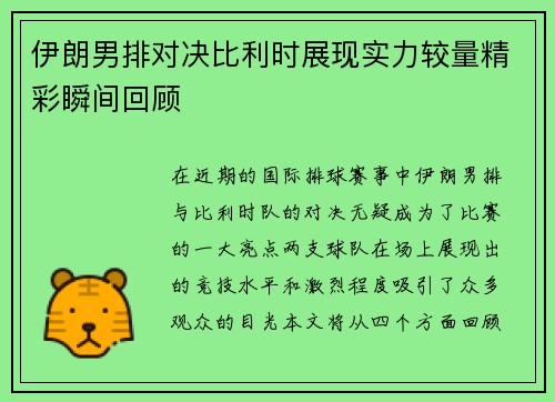 伊朗男排对决比利时展现实力较量精彩瞬间回顾